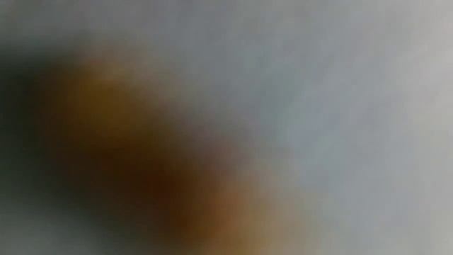 Власоеды у крысы смотреть онлайн