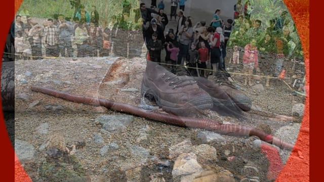 Самые гигантские животные мира смотреть онлайн
