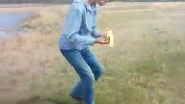 пикничок атака чайки!!!