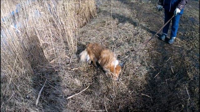МАРТ , РЕЛАКС , ПРОГУЛКА ВОЗЛЕ РЕКИ ... смотреть онлайн