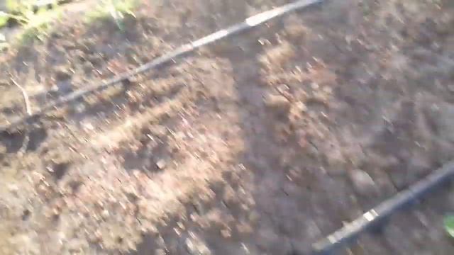 Капельный полив на огороде смотреть онлайн