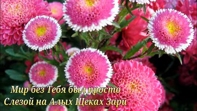 Хочу к тебе Любимый...