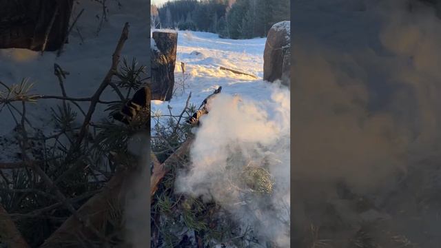 Велесов день 11.02.2024 смотреть онлайн