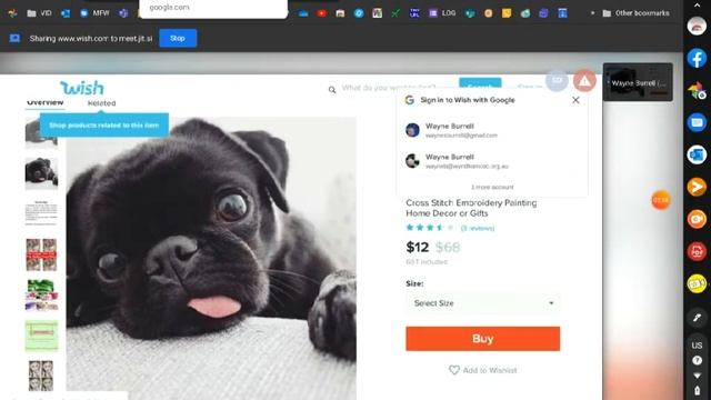 Share your screen in Jitsi Meet смотреть онлайн