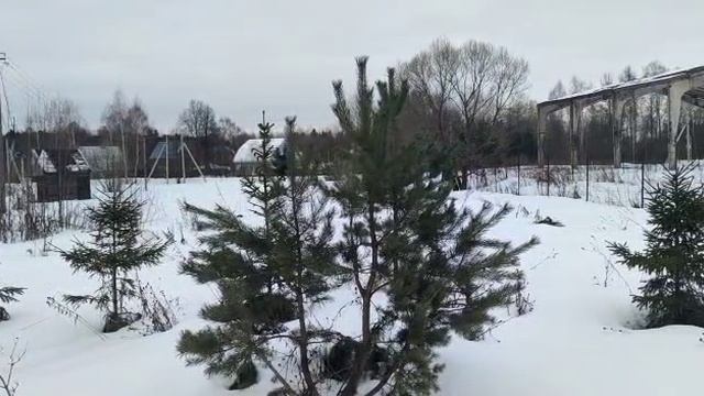 Барское-Мелечкино 870 смотреть онлайн