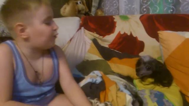 Поющая собака нури