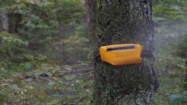 Бананка Пакрафтера - поясная сумка Лайт-ТТ от ТаймТриал смотреть онлайн