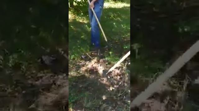 Грабли уборочные смотреть онлайн