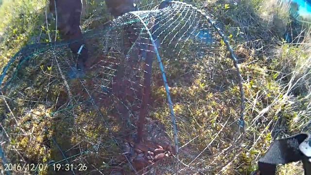 Карась на WD-40. смотреть онлайн