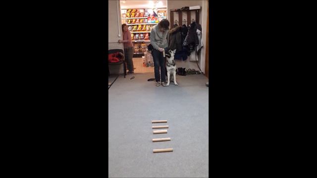 Ева выборка вещи смотреть онлайн