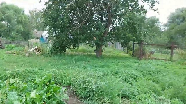 ПРАЗДНИК НА ДУШЕ ОТ ВСТРЕЧ С ХОРОШИМИ ЛЮДЬМИ!!! смотреть онлайн
