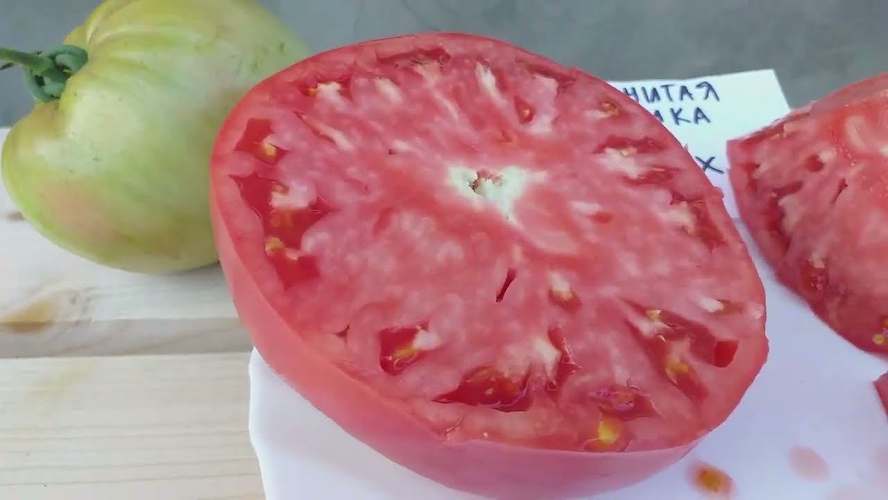 ДЕГУСТАЦИЯ томатов. Знаменитая Клубника Миссис Шлаубах и Компания смотреть онлайн