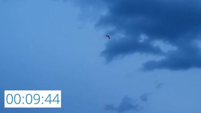 ЛК-850 / Тест на время полета / ALNADO смотреть онлайн