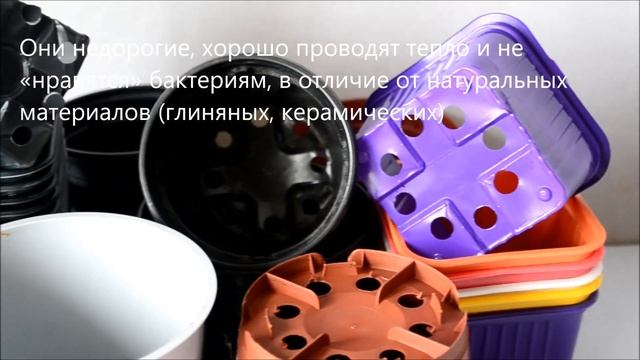 Какой горшок нужен для антуриума и орхидеи смотреть онлайн