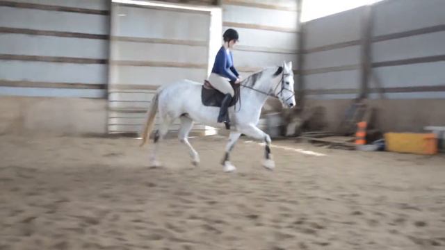 Sophia Flatword from the Tina Waters Clinic Feb смотреть онлайн