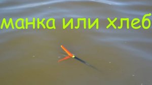 РЫБАЛКА С ЛОДКИ НА ПОПЛАВОЧНУЮ УДОЧКУ.