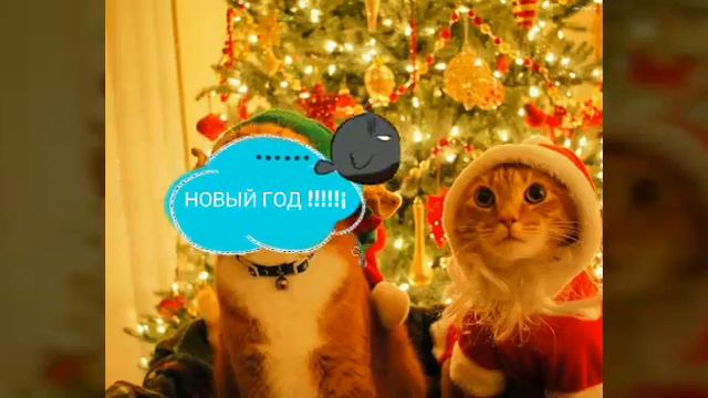 Завтра Новый год! смотреть онлайн
