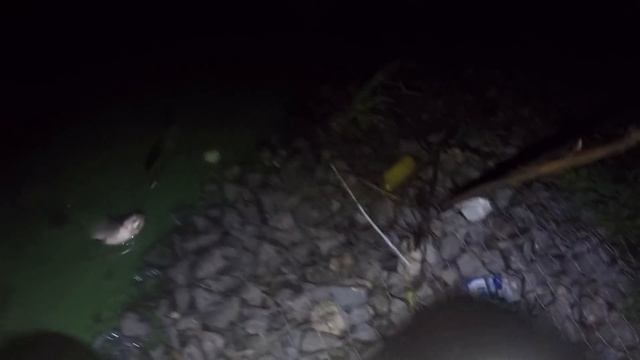 Ловля ЛЕЩА на БУЙКИ смотреть онлайн