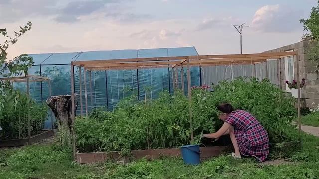 ДЕРЕВЕНСКИЕ БУДНИ РЕМОНТИРУЕМ СТАРЫЙ ДОМ НА ПАРУ С ЖЕНОЙ (1) смотреть онлайн