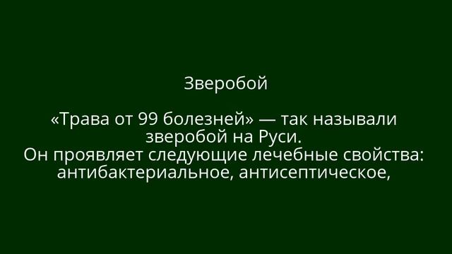 ❀ Аптекарский огород: 10 самых полезных лекарственных растений для дачи смотреть онлайн