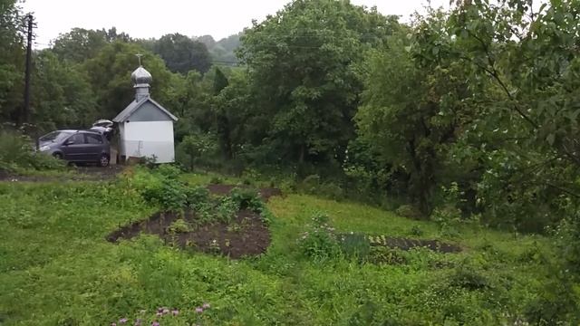 Дожди не прекращаются/Наша дача/Что успели посадить/ смотреть онлайн