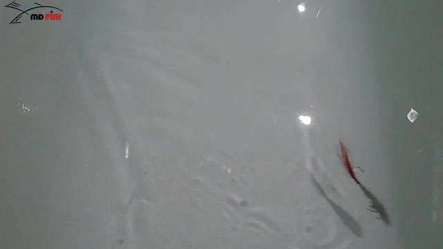 Бокоплав "Вьюга". Ручная работа. смотреть онлайн