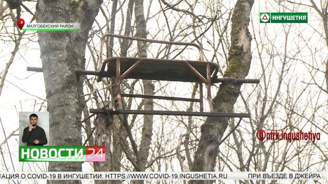 Охота на засидки смотреть онлайн