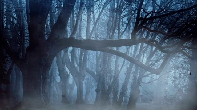 интересные истории на ночь ?