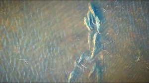 Поехал на рыбалку за крупным карасем, а попал на нерест сазана. Рыбалка на донку (фидер).