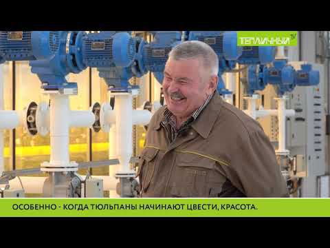 "Тепличный TV". Выпуск 33 смотреть онлайн