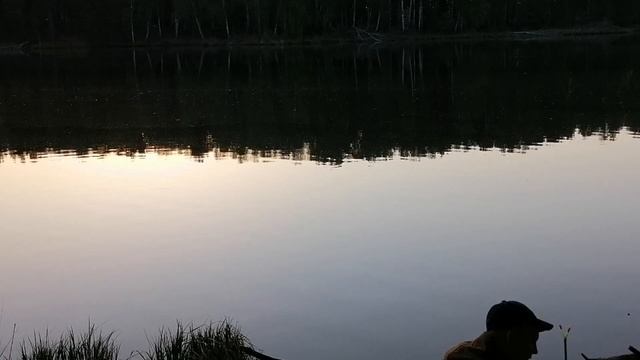 Вечерняя рыбалка р. Сысерть/ Ловля подлещика на фидер и донки-крокодилы// ЛОВЛЯ НА ПЕНОПЛАСТ смотреть онлайн