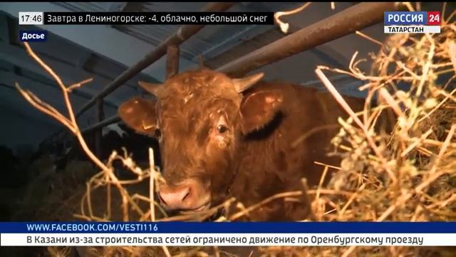 Агробизнес (18.01.22) смотреть онлайн