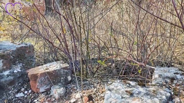 Церковь Воскресения Христова в селе Воскресенском смотреть онлайн