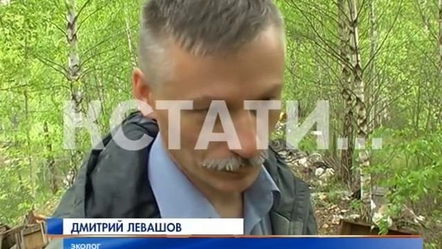 Огромная свалка противогазов обнаружена в лесу под Дзержинском смотреть онлайн