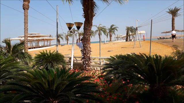 НА МЁРТВОЕ МОРЕ С МОБИЛЬНИКОМ И "ХАВОЙ НАГИЛОЙ" смотреть онлайн