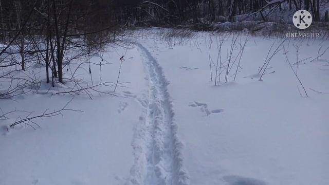 лыжи Altai skis hok. смотреть онлайн