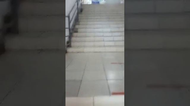 РТ, г. Буинск, ул. Р. Люксембург, д.142б смотреть онлайн