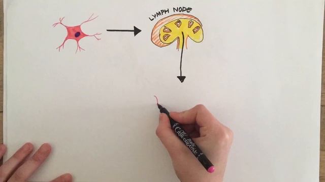 Psoriasis Animation смотреть онлайн