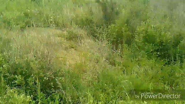 Замкнуло проводку в Пит байке! Лазаем по сопке! смотреть онлайн