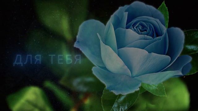 ?Эта роза для тебя?Музыкальная анимационная открытка смотреть онлайн