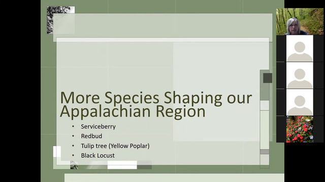 Appalachian Woodland Species смотреть онлайн