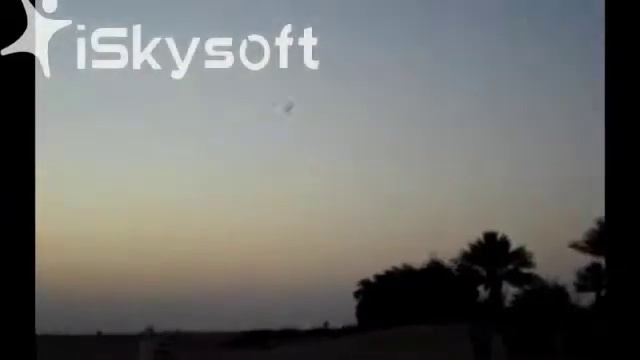 Falconry Show смотреть онлайн