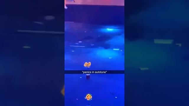 Долболобы #2) смотреть онлайн