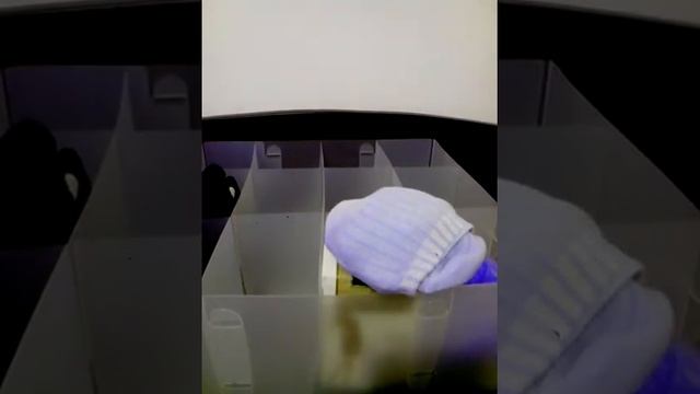 Идеи для дома. Как складывать носки. Коробка для носков. смотреть онлайн