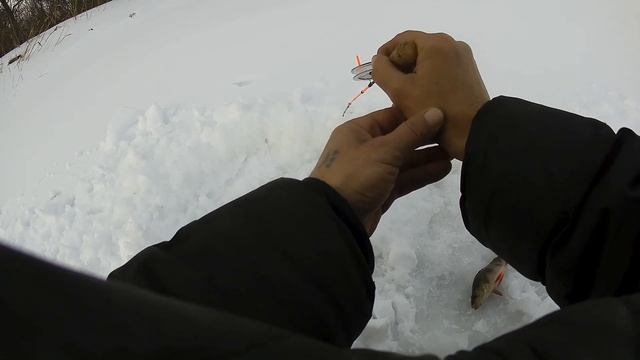 Рыбалка на Безмотылку. Ловля окуня. Рыба утащила удочку. смотреть онлайн