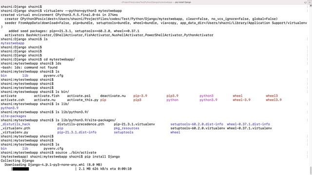Setting up an initial Python Django project смотреть онлайн