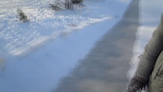 День из жизни: празднуем День Рождение любимой Лили! смотреть онлайн