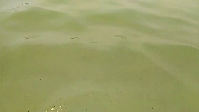 Утро на море. Средиземное море, пляж отеля Антик в Авсалар #алания #инжекум #Турция2021