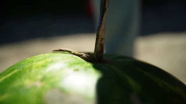 ЛОПНЕТ ЛИ АРБУЗ, ЕСЛИ НАДУТЬ ШАРИК ВНУТРИ НЕГО? смотреть онлайн