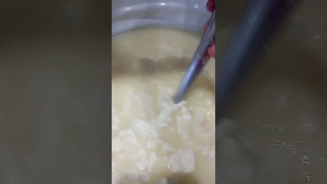 Опять сыр. Готовлю сыр каждый день. смотреть онлайн